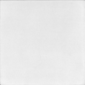V1007-(1007)a_5