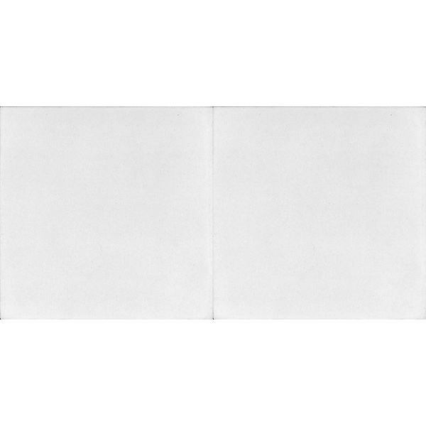 V1007-(1007)b_5