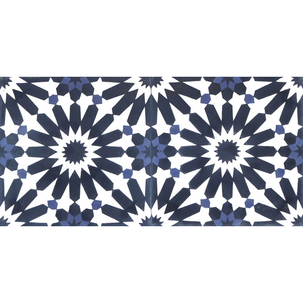 V20-395-(100,4011,4055)c_5