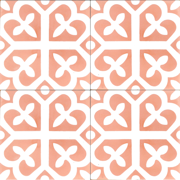 V20-237-1-b_5