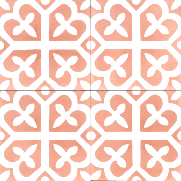 V20-237-1-c_5