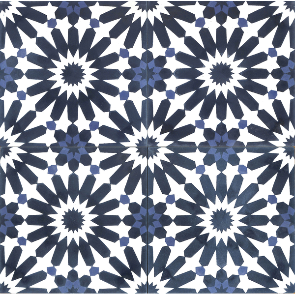 V20-395-(100,4011,4055)c_5